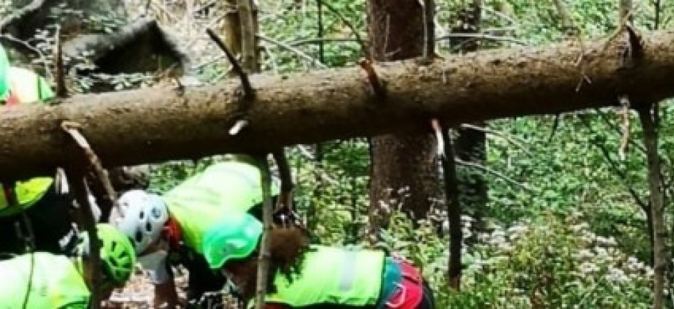 Tragedia sul lavoro, un boscaiolo di 25 anni è morto dopo essere stato travolto e schiacciato da un albero
